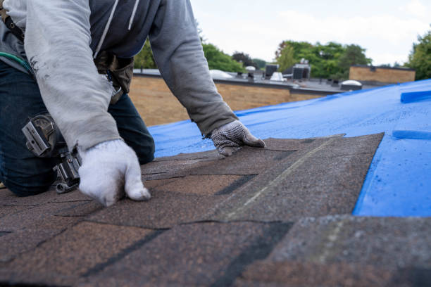 Best Tile Roofing Contractor  in Charleston, MS